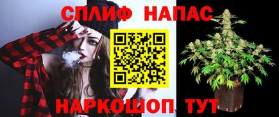 гидропоника Малгобек
