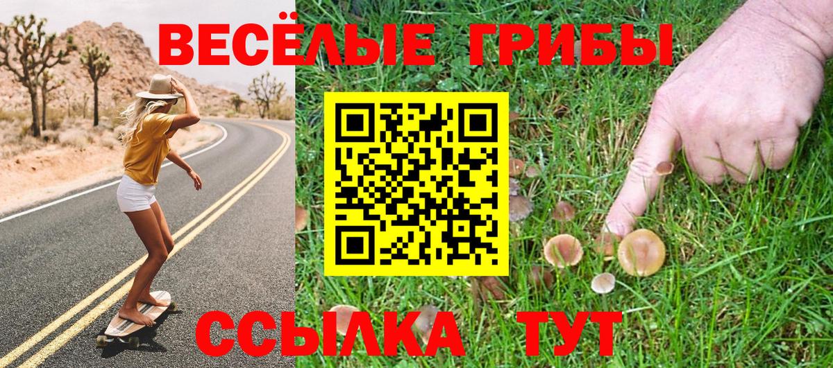 Галлюциногенные грибы Psilocybine cubensis  как найти наркотики  Владивосток  Вход с VPN 